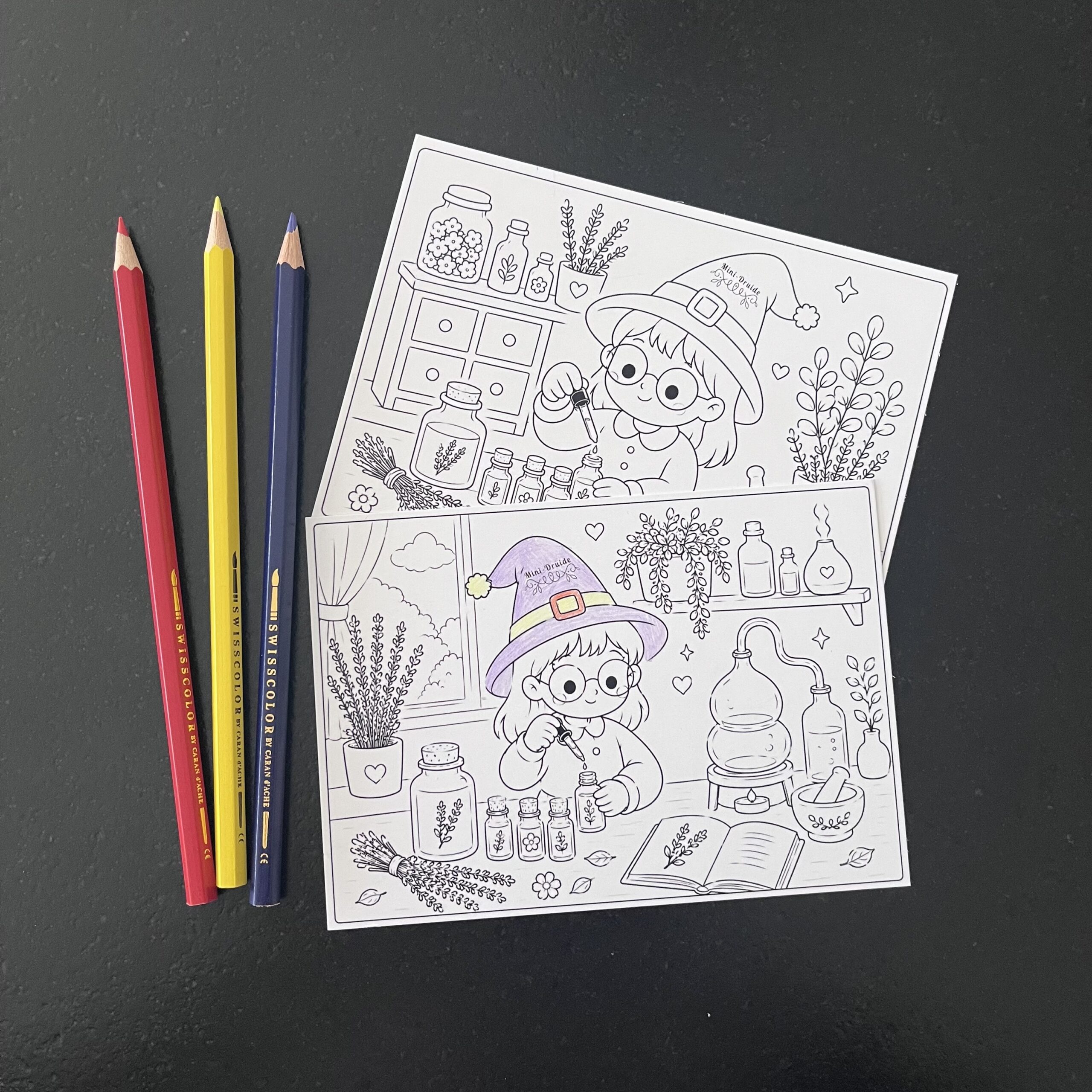 Carte postale à colorier